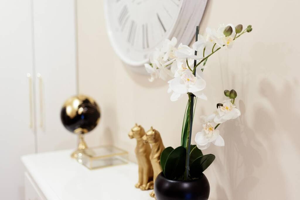 Apartament Beauty Flat Gaia Center Vila Nova de Gaia Zewnętrze zdjęcie